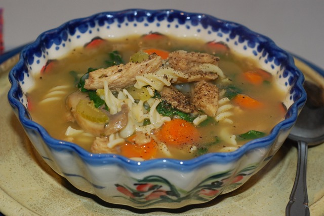 Close-up of Chicken-Free Noodle Soup/Gluten-Free, Oil-Free, Vegan