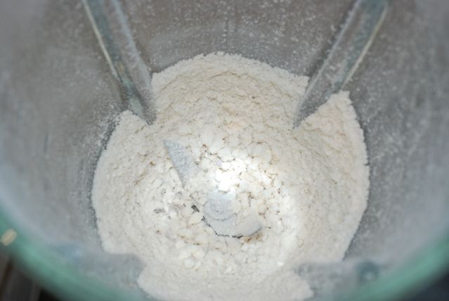 Dried mushroom powder in a blender
