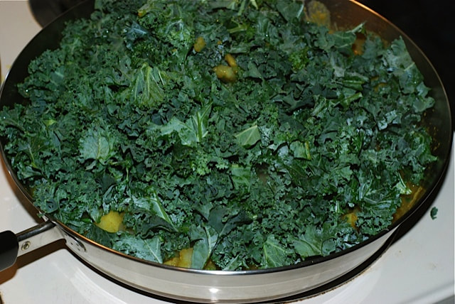 Add 1/2 cup water, spread out the chopped kale, cover and simmer for 5 more minutes--North Indian Potatoes and Greens/beansriceeverythingnice@weebly.com