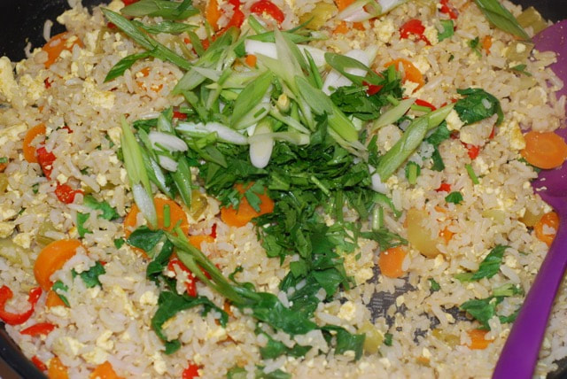 Stir in the green onion and cilantro Thai Curry Tofu Fried Rice / Oil-Free, Gluten-Free, Vegan
