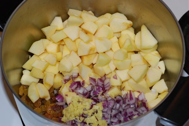 Apples, raisins, red onion and ginger in the cooking pot