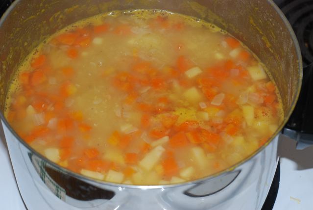 Cooked soup before pureeing